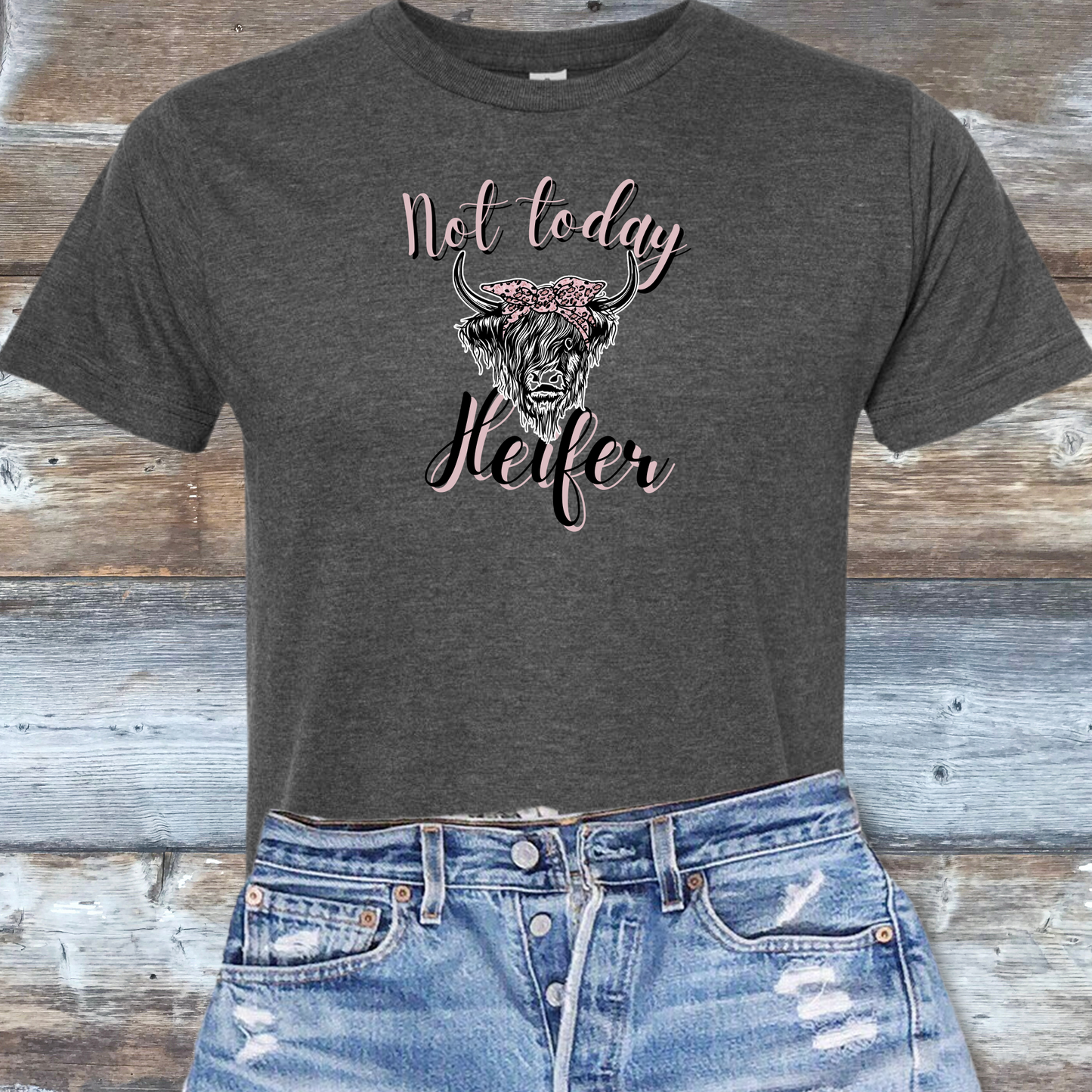 Highland Heifer DTF