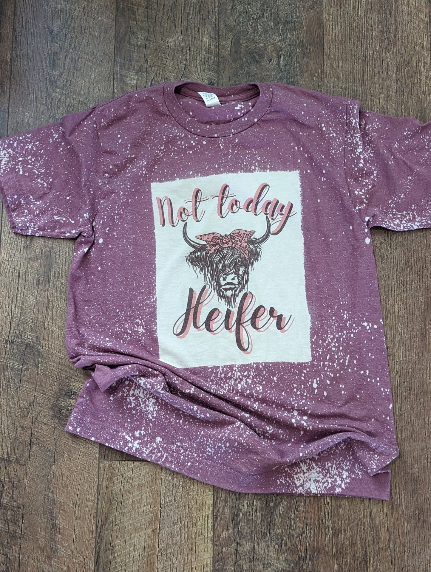 Highland Heifer RTS